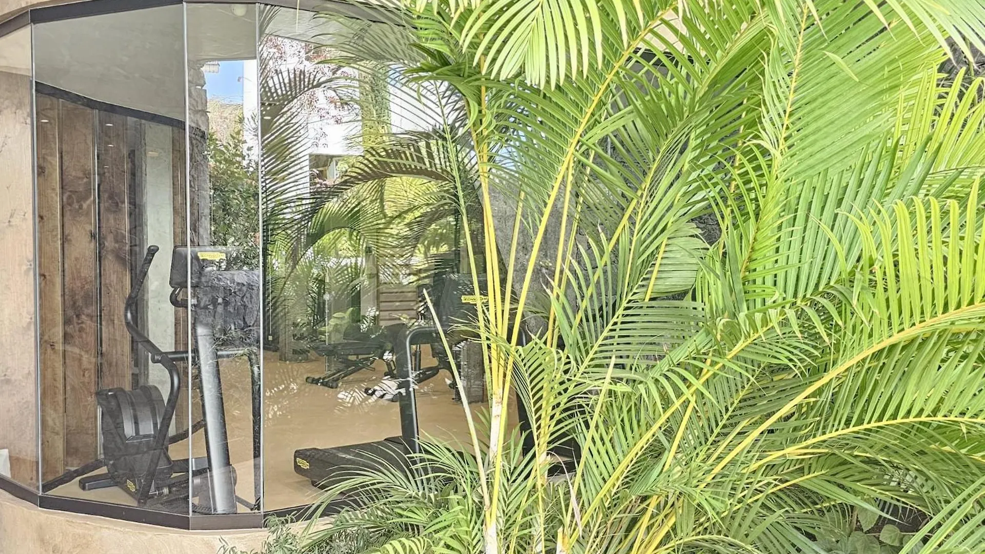 아파트 Crystal Luxury Holidays, El Palm Mar In Tenerife South 스페인
